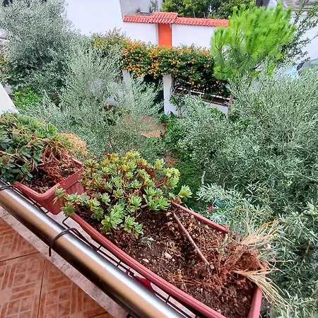 Gæstehus Guest Near Historical Center