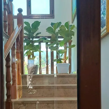 Guest Near Historical Center 招待所