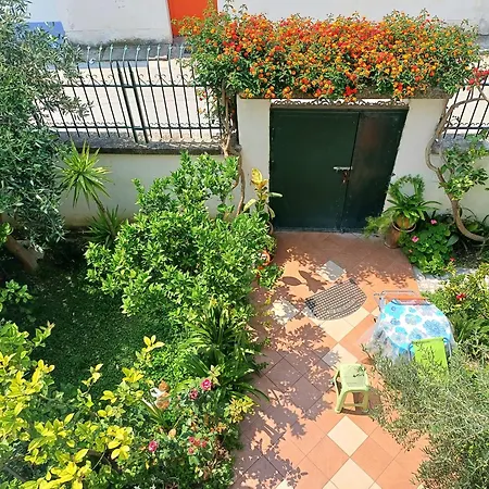 Guest Near Historical Center 3* Vlorë