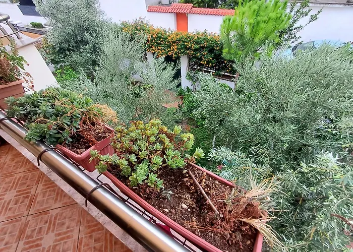 Casa de hóspedes Guest Near Historical Center